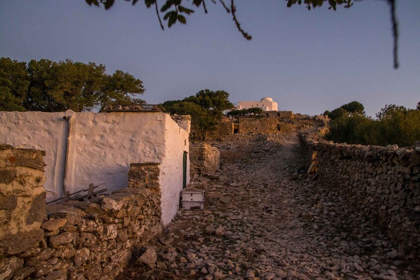 Picture 2 for Activity Amorgos: Hiking Along the Ridges of Mt. Krikelos