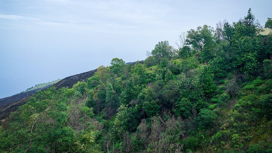 Sao Filipe: Coffee Plantation and Natural Pools Day Trip