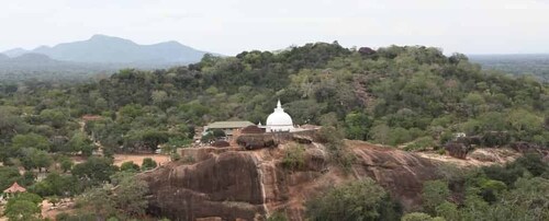 Yala: Full-Day Private All-Inclusive Temple Discovery Tour