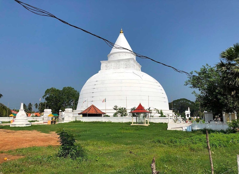 Picture 4 for Activity Yala: Full-Day Private All-Inclusive Temple Discovery Tour