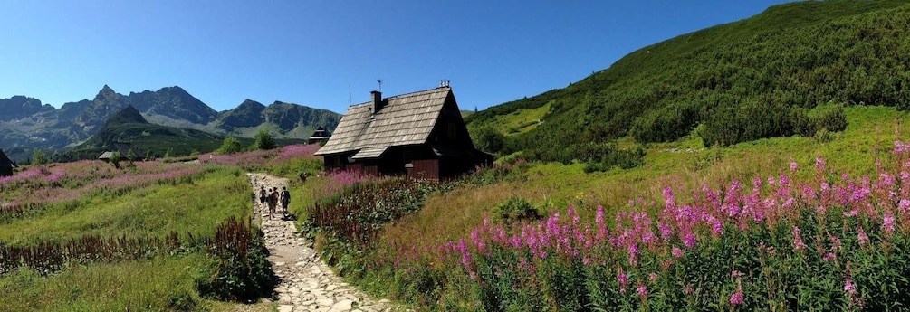 Picture 16 for Activity Krakow: Zakopane Tour & Hot Springs Visit with Hotel Pickup