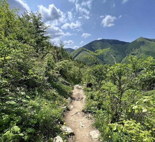 Picture 10 for Activity Bratislava: Small Fatra Mountains Guided Hike