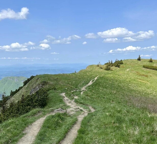 Picture 11 for Activity Bratislava: Small Fatra Mountains Guided Hike