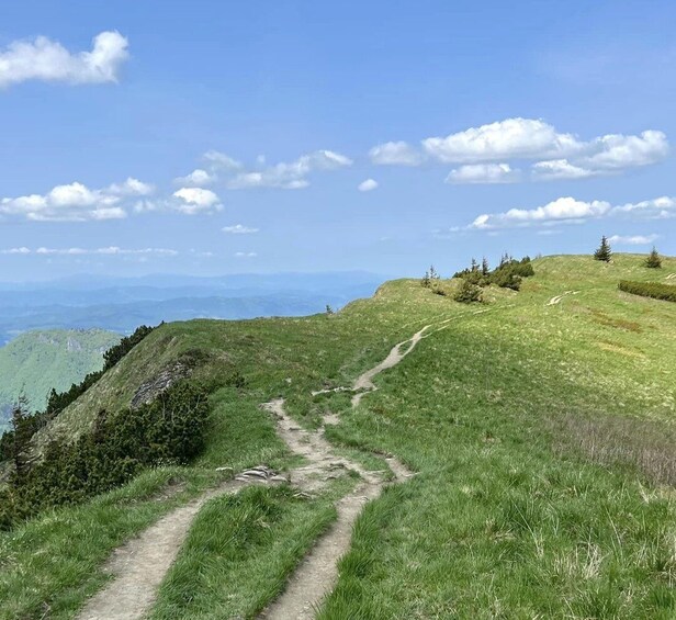 Picture 11 for Activity Bratislava: Small Fatra Mountains Guided Hike