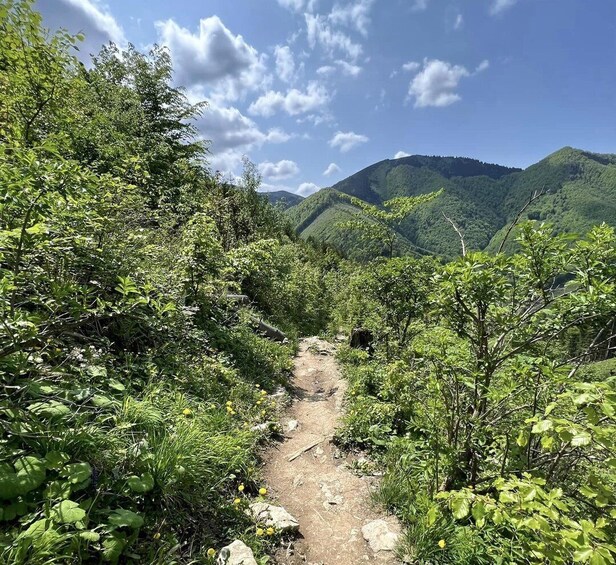 Picture 10 for Activity Bratislava: Small Fatra Mountains Guided Hike