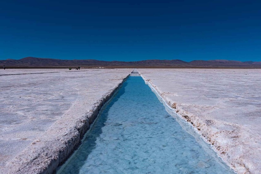 Salta: Cafayate, Cachi, and Salinas Grandes Guided Day Trips