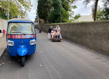 Funchal : Jardin tropical de Monte et balade en toboggan en tuk tuk