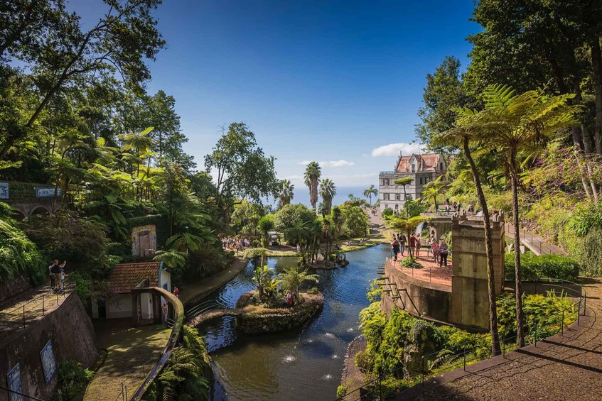 Picture 3 for Activity Funchal: Monte Tropical Garden & Toboggan Ride by Tuk Tuk