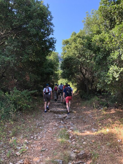 Picture 3 for Activity Rhodes: Salakos to Profitis Ilias 4 hours Guided Hike