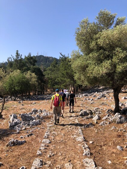 Picture 4 for Activity Rhodes: Salakos to Profitis Ilias 4 hours Guided Hike