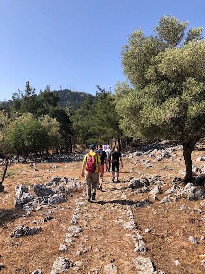 Picture 4 for Activity Rhodes: Salakos to Profitis Ilias 4 hours Guided Hike