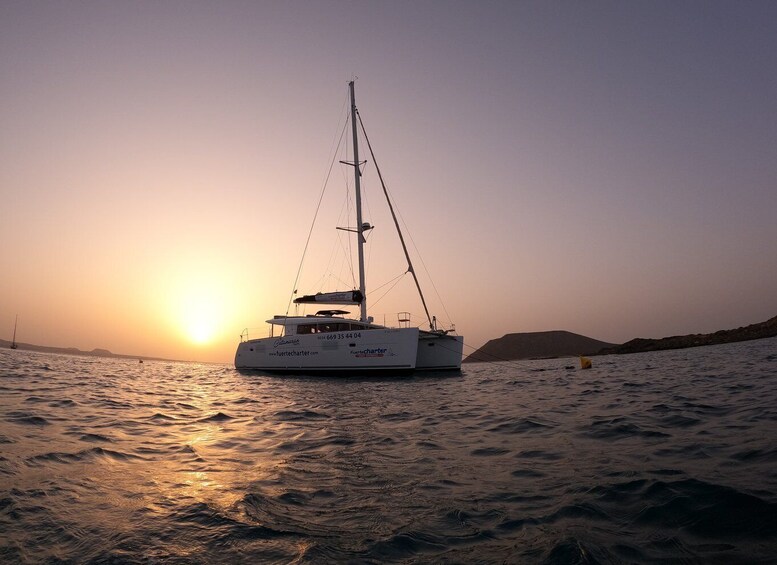 Picture 7 for Activity Fuerteventura: Sunset Catamaran Trip to Lobos Island