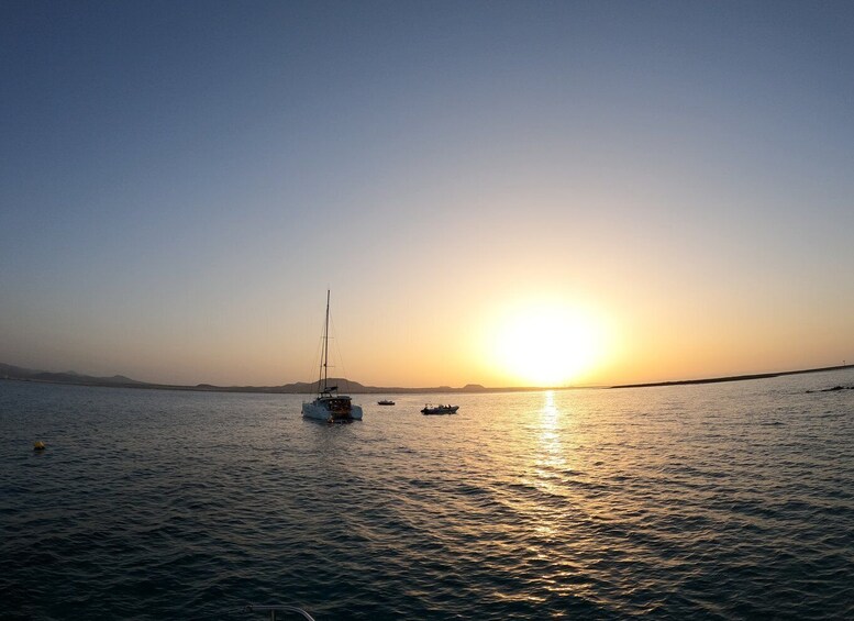 Picture 6 for Activity Fuerteventura: Sunset Catamaran Trip to Lobos Island