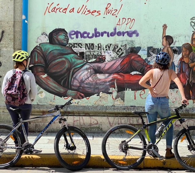 Picture 6 for Activity Oaxaca: Street Art Bike Tour