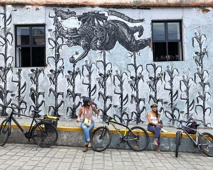 Picture 3 for Activity Oaxaca: Street Art Bike Tour