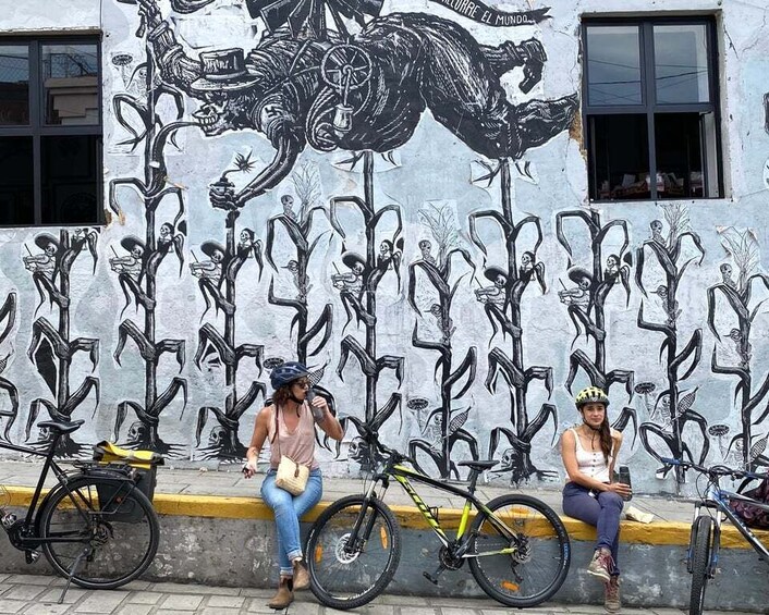 Picture 3 for Activity Oaxaca: Street Art Bike Tour