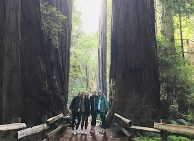 Visite de San Francisco, de Muir Woods Giant Redwoods et de Sausalito
