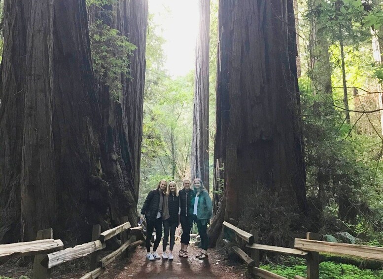 San Francisco Tour to Muir Woods Giant Redwoods & Sausalito