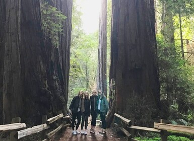 San Franciscon retki Muir Woods Giant Redwoodsiin ja Sausalitoon