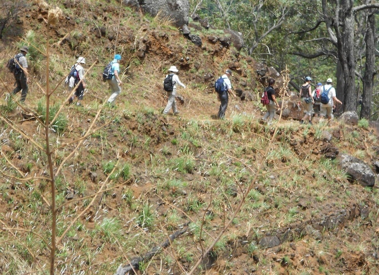 Picture 9 for Activity Ella : Trekking to Highest Waterfall Via Devil’s Staircase