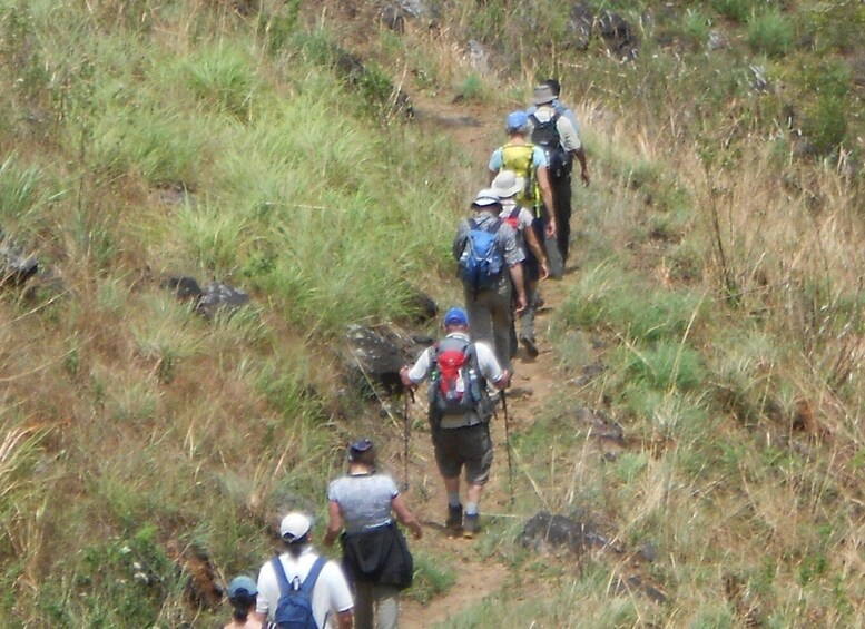 Picture 5 for Activity Ella : Trekking to Highest Waterfall Via Devil’s Staircase