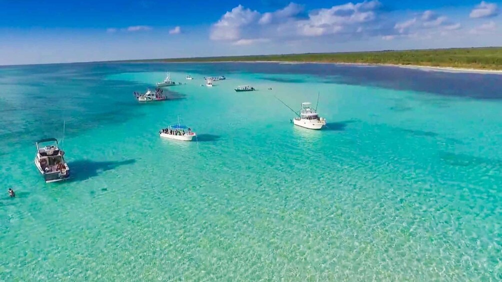 Picture 1 for Activity Cozumel: El Cielo & Palancar Snorkel with Open Bar & Ceviche