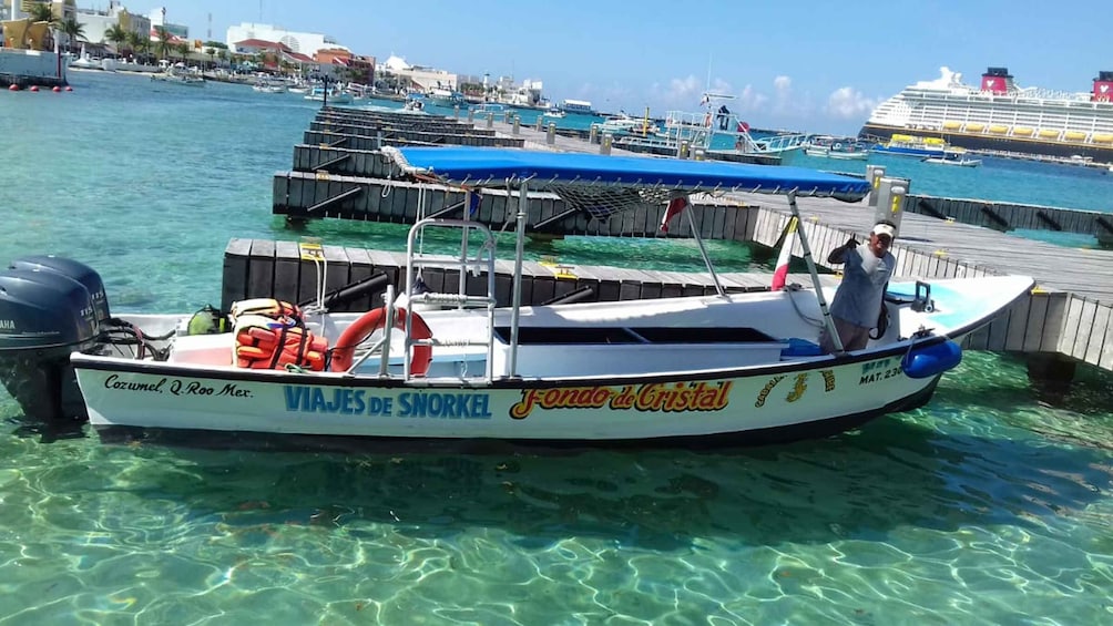 Picture 3 for Activity Cozumel: El Cielo & Palancar Snorkel with Open Bar & Ceviche