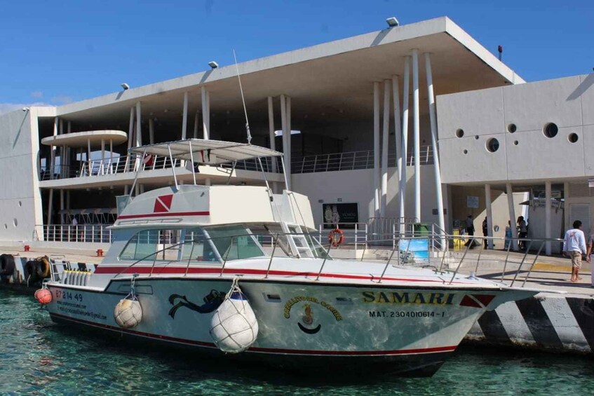 Picture 2 for Activity Cozumel: El Cielo & Palancar Snorkel with Open Bar & Ceviche