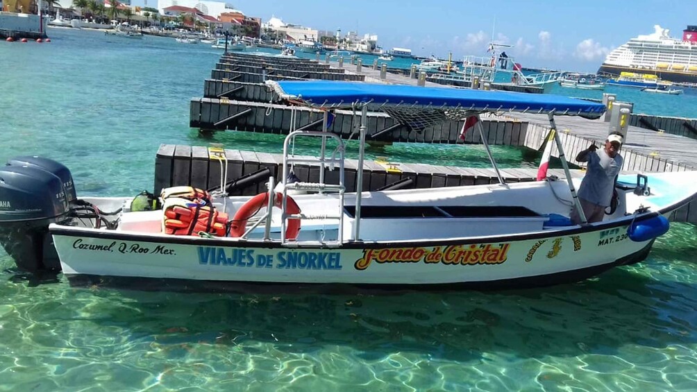 Picture 3 for Activity Cozumel: El Cielo & Palancar Snorkel with Open Bar & Ceviche