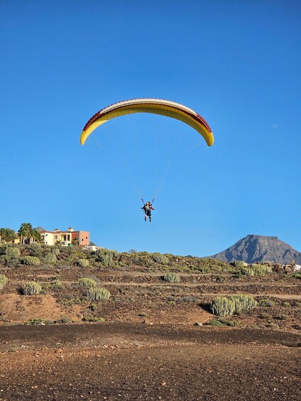 Picture 50 for Activity Tenerife: Paragliding with National Champion Paraglider