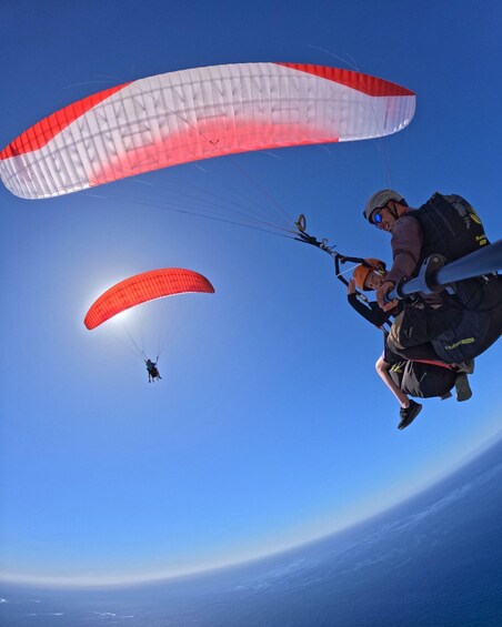 Picture 36 for Activity Tenerife: Paragliding with National Champion Paraglider