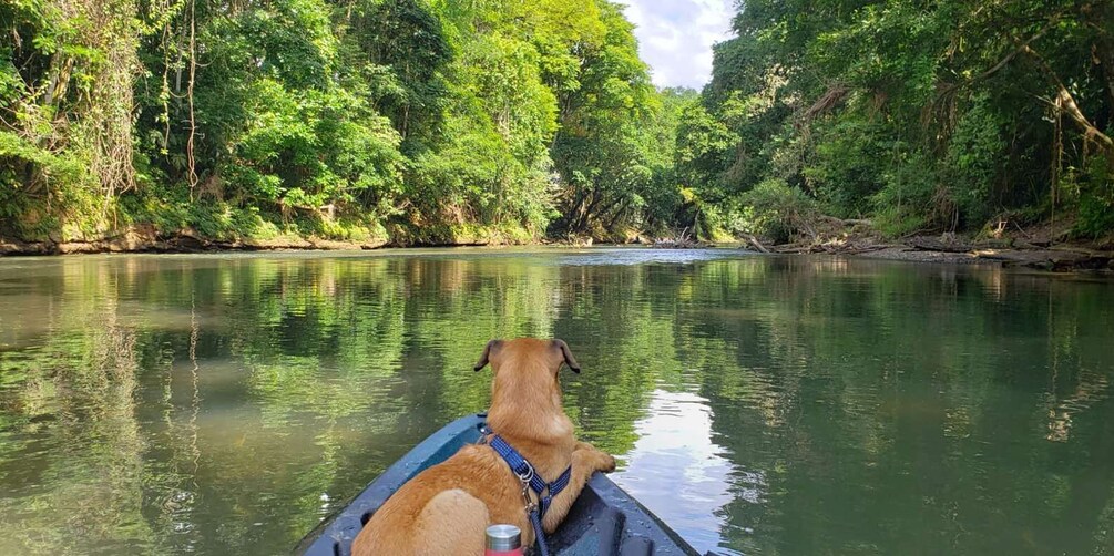 Picture 1 for Activity La Fortuna: *TOP* Wildlife Safari Experience by Raft