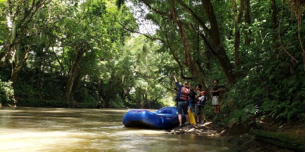 Picture 2 for Activity La Fortuna: *TOP* Wildlife Safari Experience by Raft