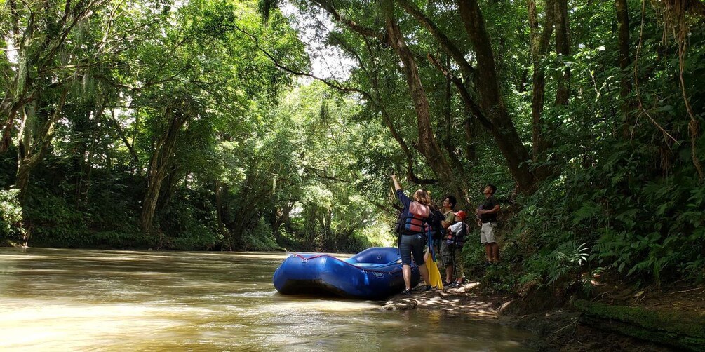 Picture 2 for Activity La Fortuna: *TOP* Wildlife Safari Experience by Raft