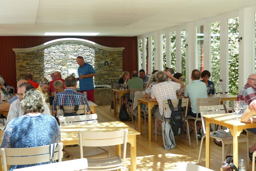 Picture 6 for Activity Pinhão: Quinta do Bomfim Visit and Tasting
