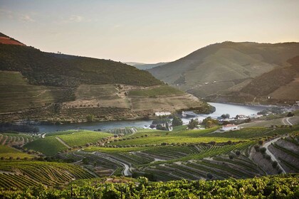 Pinhão: Besøg og smagning på Quinta do Bomfim