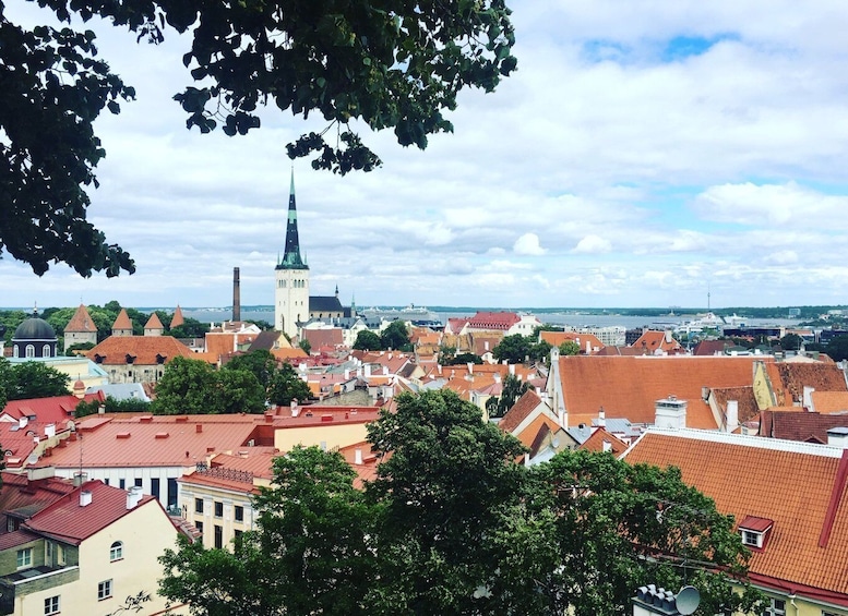 Picture 1 for Activity Tallinn: Day Tour from Helsinki with Hotel Pickup