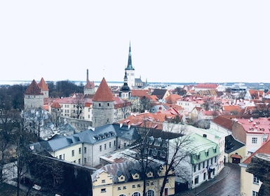 Tallinn: Dagstur fra Helsinki med henting på hotellet