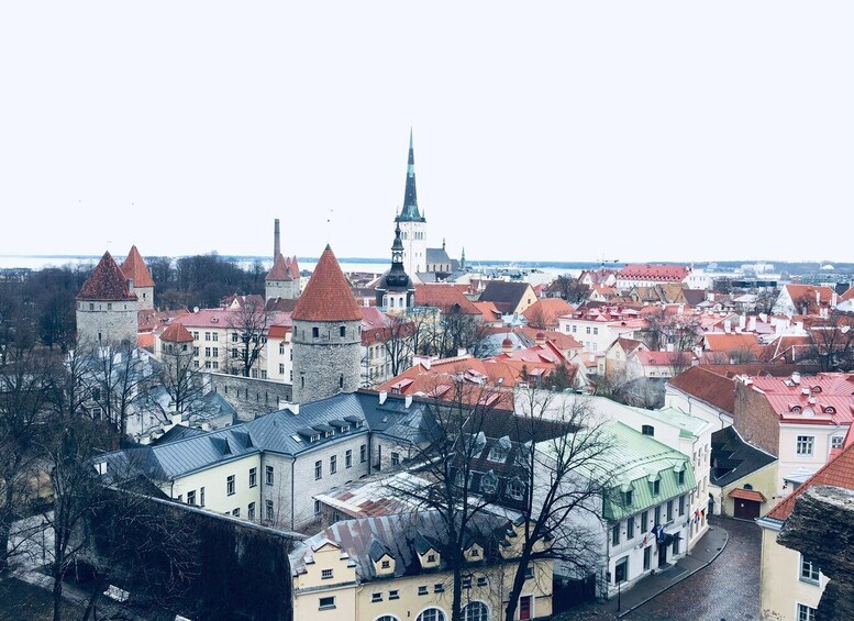 Tallinn: Day Tour from Helsinki with Hotel Pickup