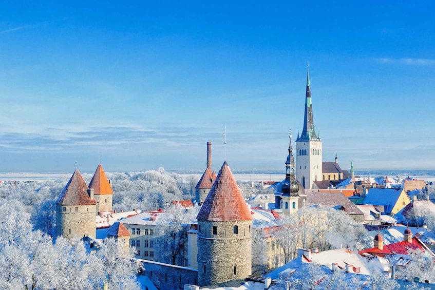 Picture 5 for Activity Tallinn: Day Tour from Helsinki with Hotel Pickup