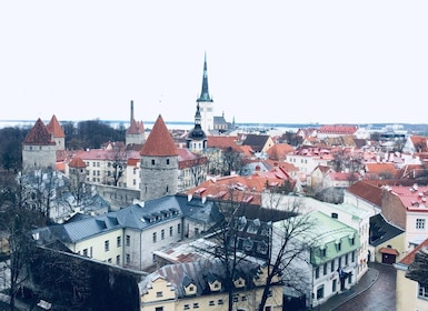 Tallinna: Tallinn: Päiväretki Helsingistä hotellin nouto