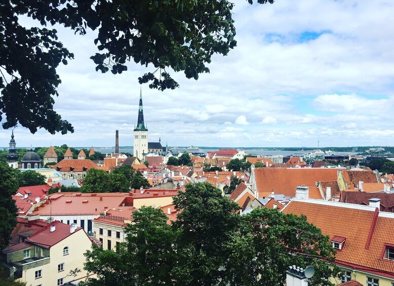 Picture 1 for Activity Tallinn: Day Tour from Helsinki with Hotel Pickup