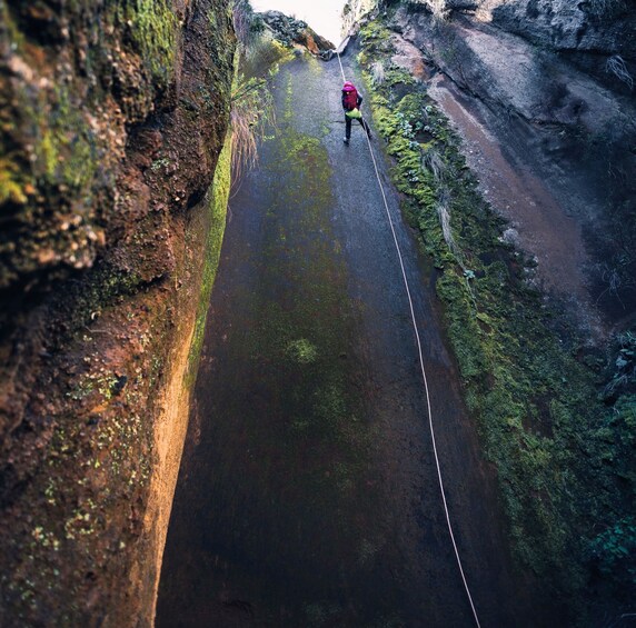 Picture 2 for Activity Tenerife: Los Arcos Canyoning Tour with Guide