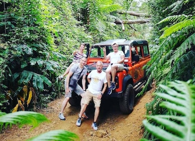 Madeira: Yksityinen jeeppi 4x4 lännen kiertoajelu luonnon altaille