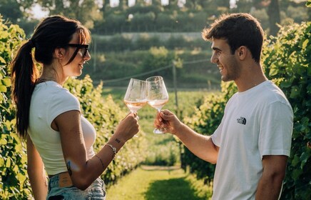 Lago de Garda: degustaciones de vino y comida en los viñedos