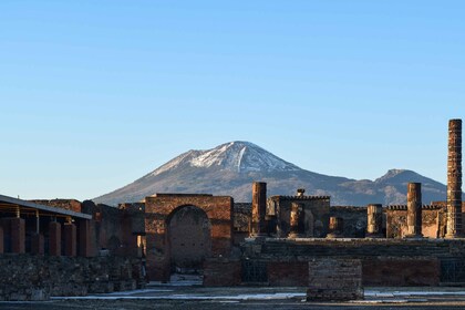 Pompeii: Skip-the-Line Entrance Ticket med audioguide