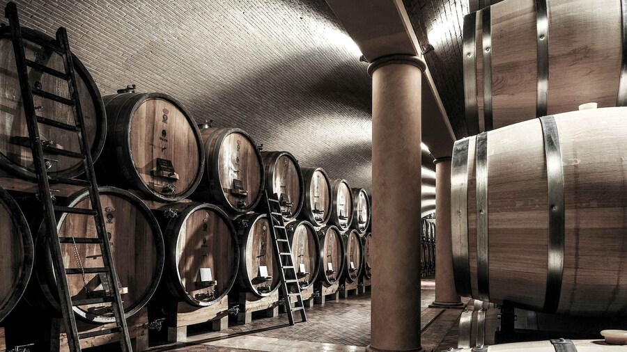 Valpolicella: Wine Tasting With A Sommelier and Light Lunch
