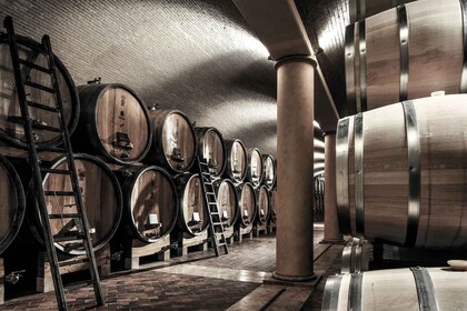 Valpolicella: ชิมไวน์พร้อมซอมเมอลิเยร์และอาหารกลางวันมื้อเบา