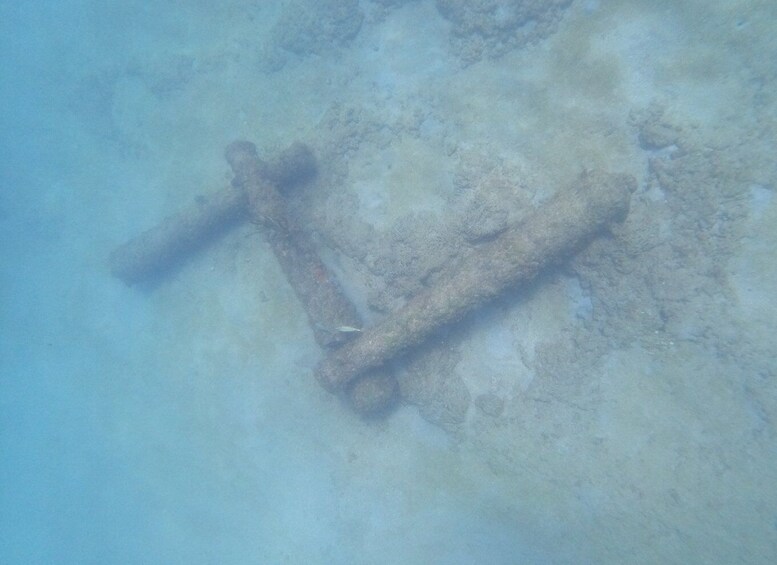 Picture 3 for Activity Fort Lauderdale: Guided Snorkeling Reef Tour and Lesson