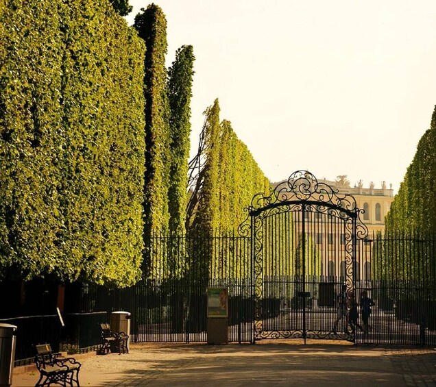 Picture 6 for Activity Schönbrunn Grand Tour : Private Skip-the-Line Walking Tour